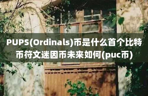 PUPS(Ordinals)币是什么首个比特币符文迷因币未来如何(puc币)