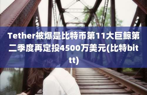 Tether被爆是比特币第11大巨鲸第二季度再定投4500万美元(比特bittt)