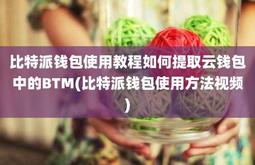 比特派钱包使用教程如何提取云钱包中的BTM(比特派钱包使用方法视频)