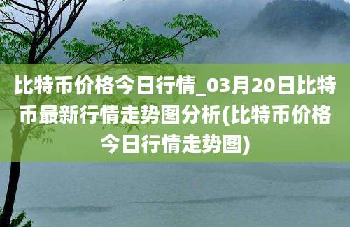 比特币价格今日行情_03月20日比特币最新行情走势图分析(比特币价格今日行情走势图)