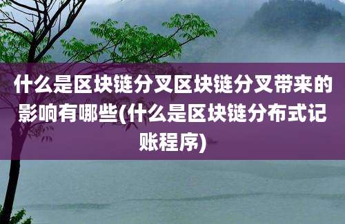 什么是区块链分叉区块链分叉带来的影响有哪些(什么是区块链分布式记账程序)