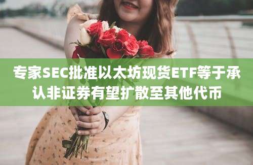 专家SEC批准以太坊现货ETF等于承认非证券有望扩散至其他代币