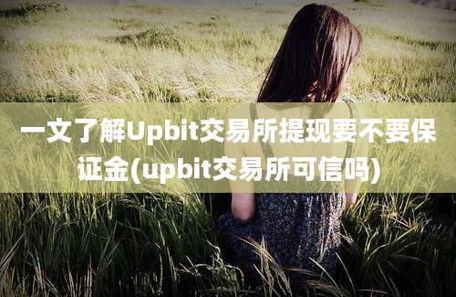 一文了解Upbit交易所提现要不要保证金(upbit交易所可信吗)