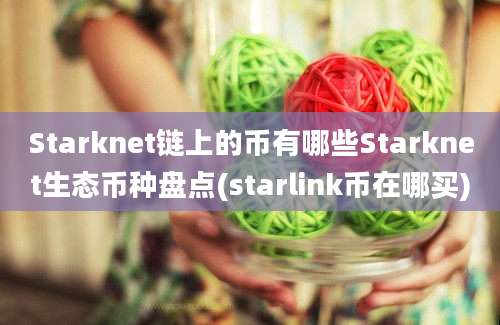 Starknet链上的币有哪些Starknet生态币种盘点(starlink币在哪买)