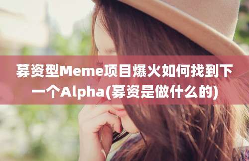 募资型Meme项目爆火如何找到下一个Alpha(募资是做什么的)