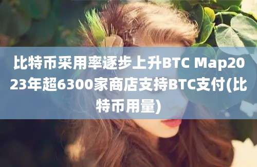 比特币采用率逐步上升BTC Map2023年超6300家商店支持BTC支付(比特币用量)