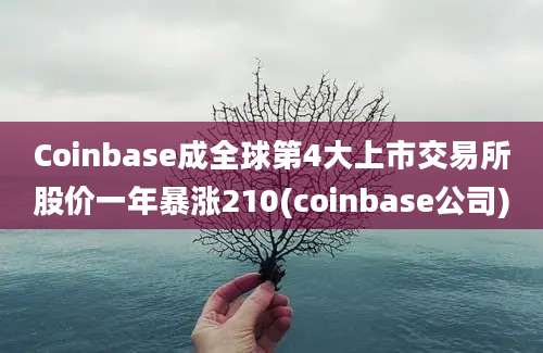 Coinbase成全球第4大上市交易所股价一年暴涨210(coinbase公司)