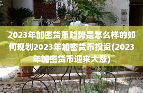 2023年加密货币趋势是怎么样的如何规划2023年加密货币投资(2023年加密货币迎来大涨)