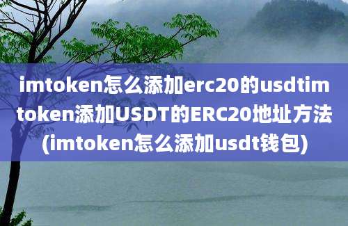 imtoken怎么添加erc20的usdtimtoken添加USDT的ERC20地址方法(imtoken怎么添加usdt钱包)