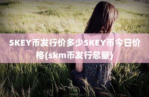 SKEY币发行价多少SKEY币今日价格(skm币发行总量)