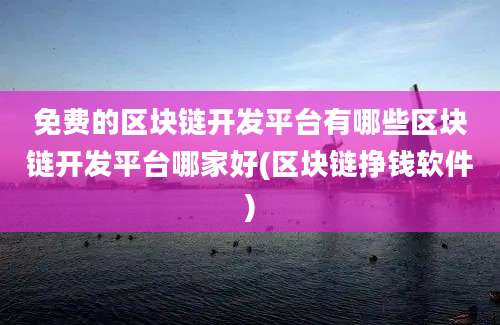 免费的区块链开发平台有哪些区块链开发平台哪家好(区块链挣钱软件)