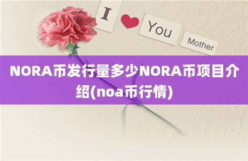 NORA币发行量多少NORA币项目介绍(noa币行情)