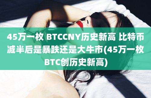 45万一枚 BTCCNY历史新高 比特币减半后是暴跌还是大牛市(45万一枚BTC创历史新高)