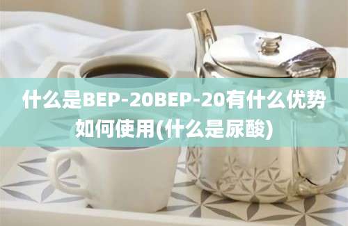 什么是BEP-20BEP-20有什么优势如何使用(什么是尿酸)