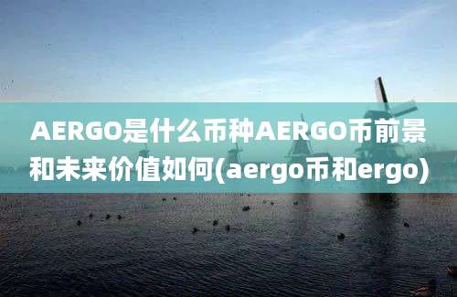 AERGO是什么币种AERGO币前景和未来价值如何(aergo币和ergo)