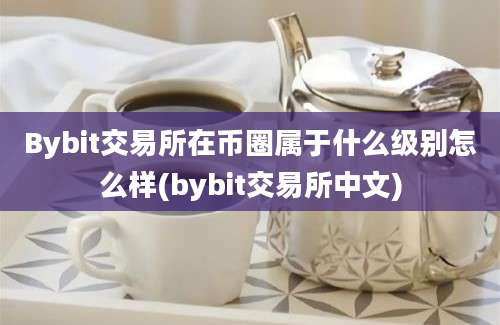 Bybit交易所在币圈属于什么级别怎么样(bybit交易所中文)