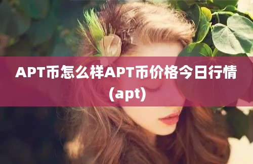 APT币怎么样APT币价格今日行情(apt)