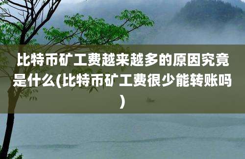 比特币矿工费越来越多的原因究竟是什么(比特币矿工费很少能转账吗)