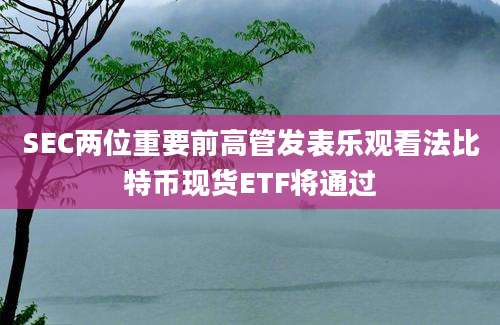 SEC两位重要前高管发表乐观看法比特币现货ETF将通过