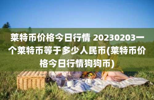 莱特币价格今日行情 20230203一个莱特币等于多少人民币(莱特币价格今日行情狗狗币)