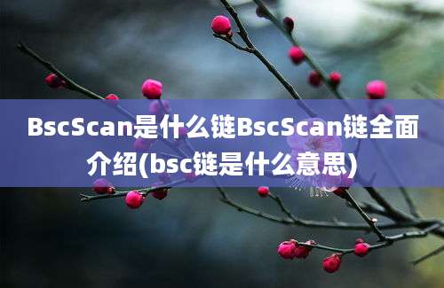 BscScan是什么链BscScan链全面介绍(bsc链是什么意思)