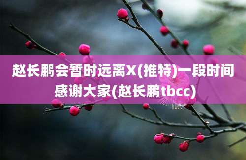 赵长鹏会暂时远离X(推特)一段时间 感谢大家(赵长鹏tbcc)