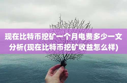 现在比特币挖矿一个月电费多少一文分析(现在比特币挖矿收益怎么样)