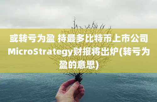 或转亏为盈 持最多比特币上市公司MicroStrategy财报将出炉(转亏为盈的意思)