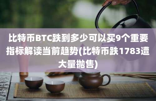 比特币BTC跌到多少可以买9个重要指标解读当前趋势(比特币跌1783遭大量抛售)