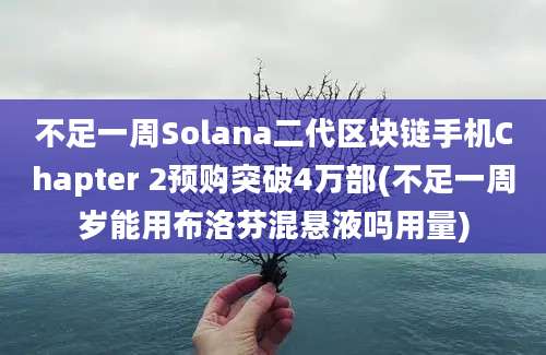 不足一周Solana二代区块链手机Chapter 2预购突破4万部(不足一周岁能用布洛芬混悬液吗用量)