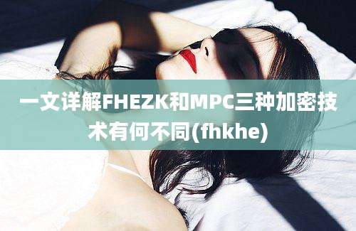 一文详解FHEZK和MPC三种加密技术有何不同(fhkhe)