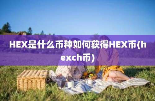 HEX是什么币种如何获得HEX币(hexch币)