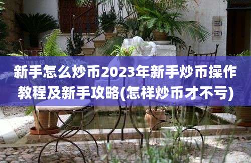 新手怎么炒币2023年新手炒币操作教程及新手攻略(怎样炒币才不亏)