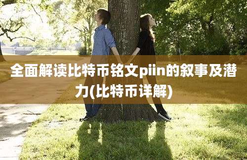 全面解读比特币铭文piin的叙事及潜力(比特币详解)