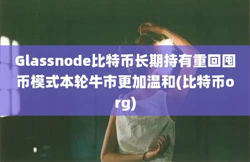 Glassnode比特币长期持有重回囤币模式本轮牛市更加温和(比特币org)