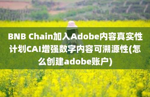 BNB Chain加入Adobe内容真实性计划CAI增强数字内容可溯源性(怎么创建adobe账户)