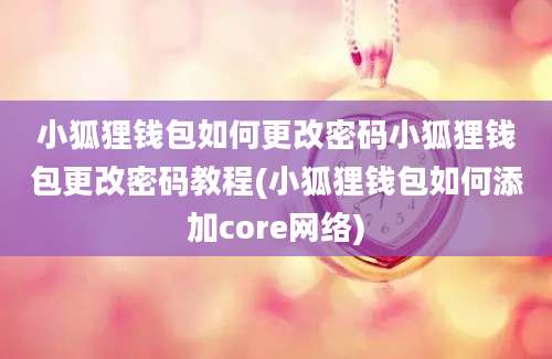 小狐狸钱包如何更改密码小狐狸钱包更改密码教程(小狐狸钱包如何添加core网络)