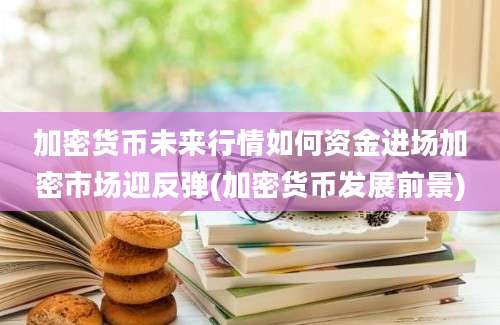 加密货币未来行情如何资金进场加密市场迎反弹(加密货币发展前景)