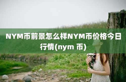 NYM币前景怎么样NYM币价格今日行情(nym 币)