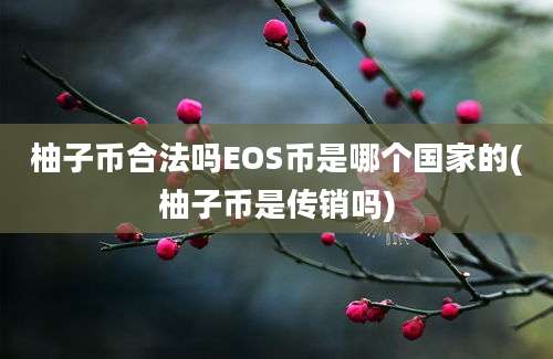 柚子币合法吗EOS币是哪个国家的(柚子币是传销吗)