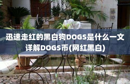 迅速走红的黑白狗DOGS是什么一文详解DOGS币(网红黑白)