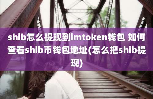 shib怎么提现到imtoken钱包 如何查看shib币钱包地址(怎么把shib提现)