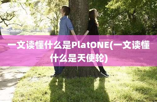 一文读懂什么是PlatONE(一文读懂什么是天使轮)