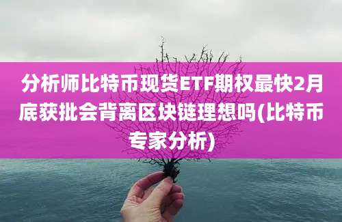 分析师比特币现货ETF期权最快2月底获批会背离区块链理想吗(比特币专家分析)