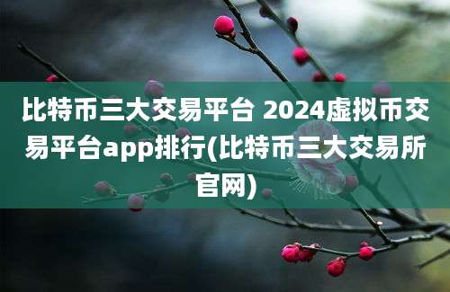 比特币三大交易平台 2024虚拟币交易平台app排行(比特币三大交易所官网)