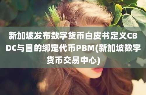 新加坡发布数字货币白皮书定义CBDC与目的绑定代币PBM(新加坡数字货币交易中心)