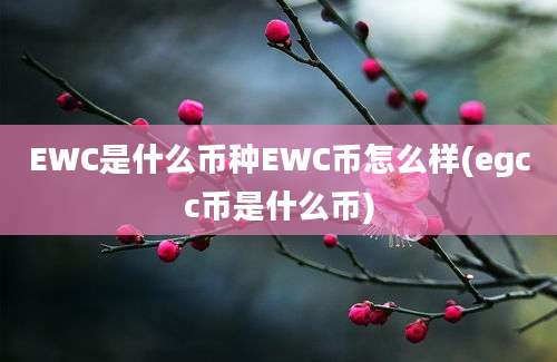 EWC是什么币种EWC币怎么样(egcc币是什么币)