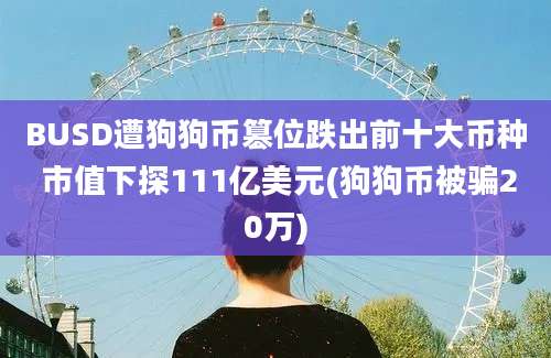 BUSD遭狗狗币篡位跌出前十大币种 市值下探111亿美元(狗狗币被骗20万)