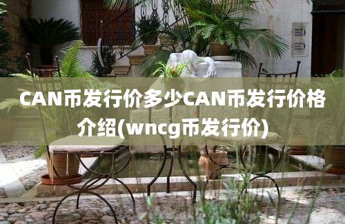 CAN币发行价多少CAN币发行价格介绍(wncg币发行价)