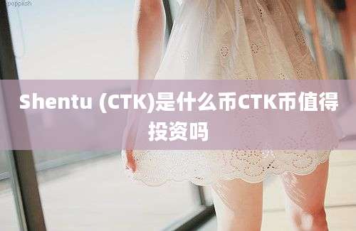 Shentu (CTK)是什么币CTK币值得投资吗